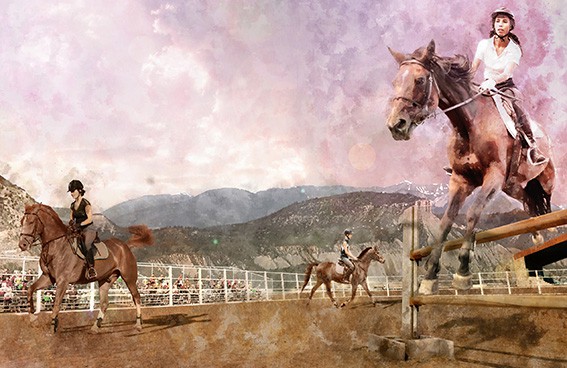 DHM_Horse-Jumping-567x368 Generous-Gift